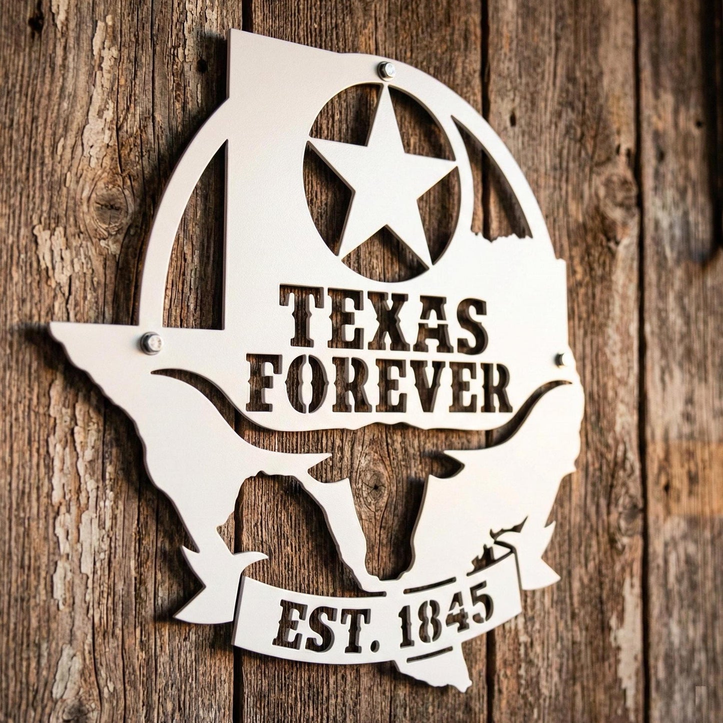 Texas Forever Metal Wall Art Sign, Texas Star Longhorn Decor, Rustic Ranch Farmhouse Wall Hanging, Powder Coated Steel Indoor Outdoor Sign