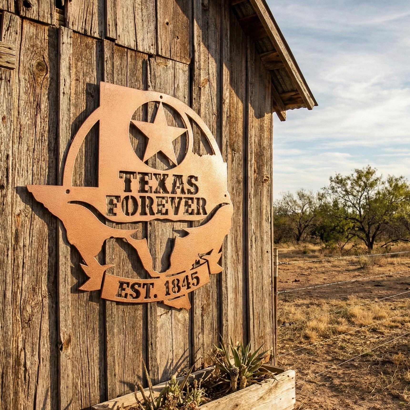 Texas Forever Metal Wall Art Sign, Texas Star Longhorn Decor, Rustic Ranch Farmhouse Wall Hanging, Powder Coated Steel Indoor Outdoor Sign